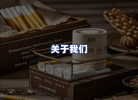 专业团队